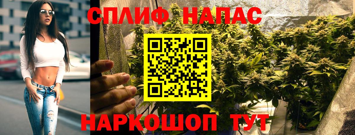Шишки марихуана планчик Мурманск